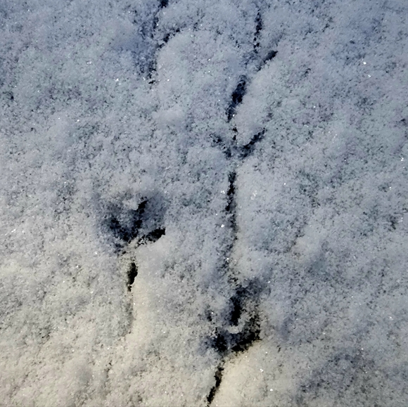 Meet your Posher, Robina - Picture 1 of 1